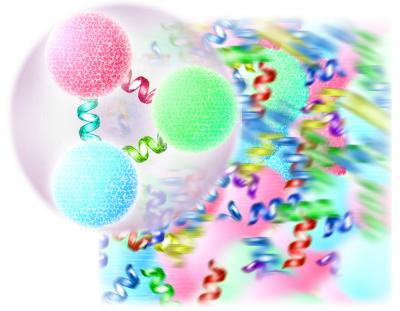 Ordinary Matter vs. Quark-gluon Plasma