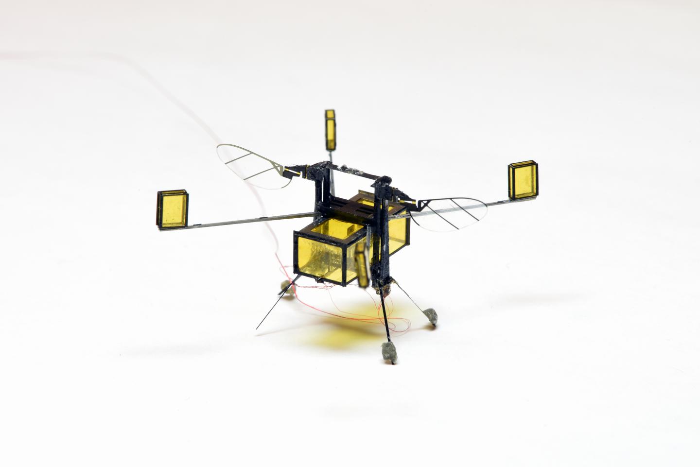 Robot on Land