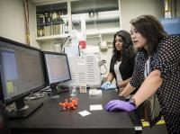 Technicians Evaluate Adsorber Coating