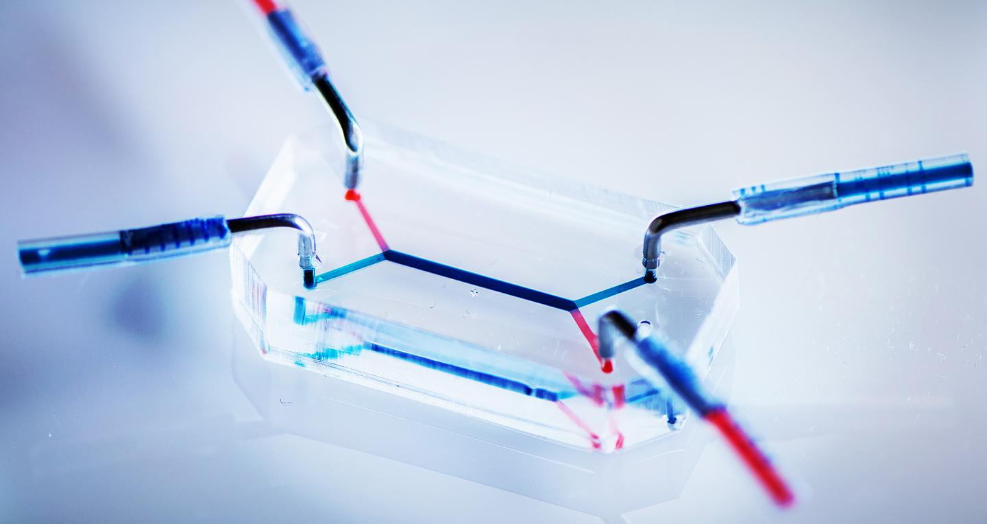 Huh Lab Placenta-on-a-Chip