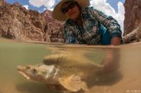 River Food Webs Threatened by Widespread Hydropower Practice (3 of 3)