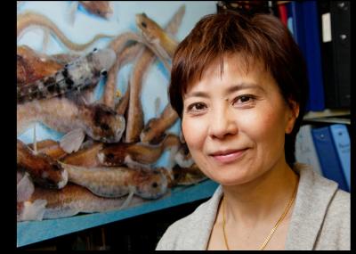 Christina Cheng, University of Illinois at Urbana-Champaign