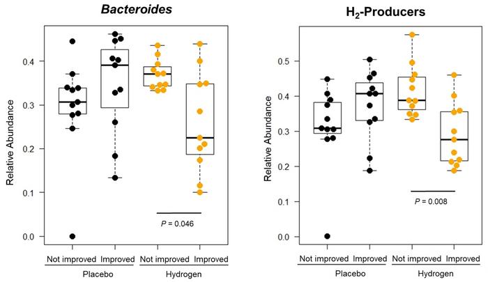 Differences between the two subgroups in the relative abundance of hydrogen-producing bacteria at baseline