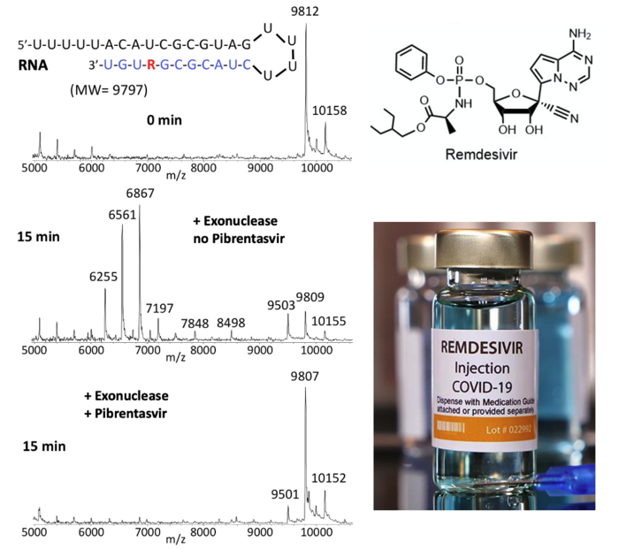 Novel Antiviral Drug Combinations Demonstrate COVID-19 Therapeutic Potential