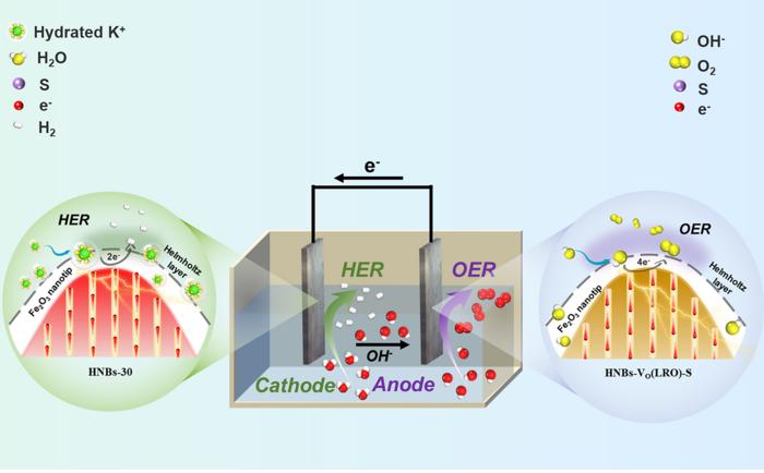 Mechanism of S-atom synergistic ordered oxygen vacancies promoting HER and OER reaction.