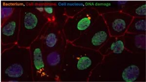 MALVINA Reveals Distinct Virulence Profiles at Single-Cell Resolution