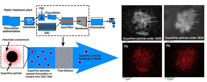 Co-transport of contaminants by disintegrated and residual superfine particles in biocarbon-based adsorbents