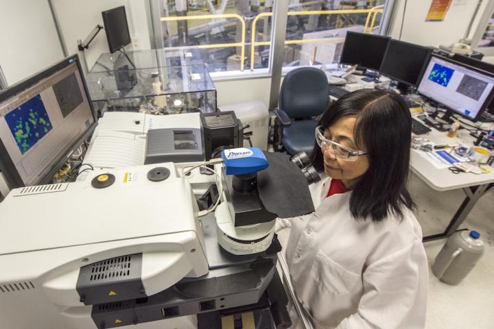 Hoi-Ying Holman, DOE/Lawrence Berkeley National Laboratory 