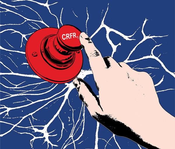 The CRFR1 Receptor