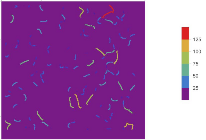 Grain Boundaries 4
