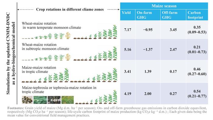 Carbon footprint simulation