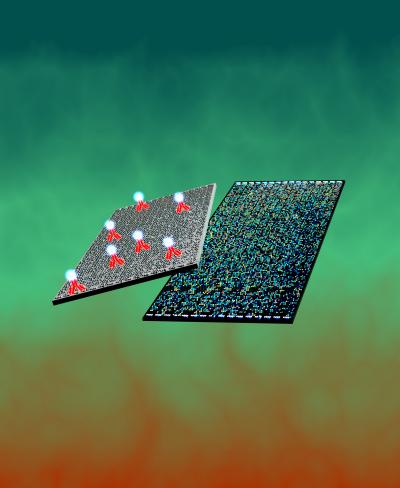 Immunosignature