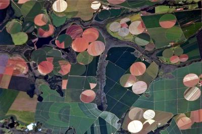 Agricultural Lands in Minas Gerais, Brazil