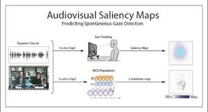 Audiovisual saliency maps