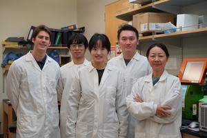 Lily Yang UCLA Lab 2026
