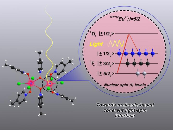 The Europium complex acting as qubit, in which the nuclear spin density is manipulated by light.
