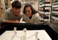 Researchers Studying Clownfish