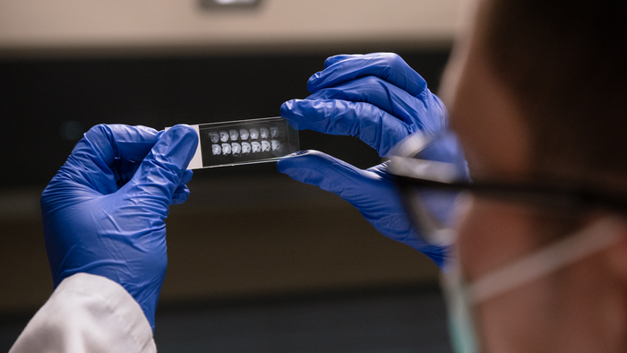 Scientist in the lab at Gladstone Institutes