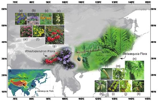 Floristic Regions 