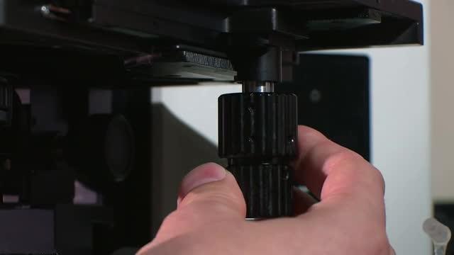 Retinal Cell Regeneration Lab UW Medicine