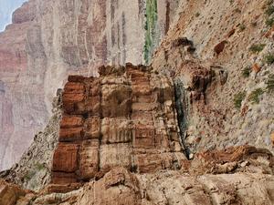 Grand Canyon was a ‘Goldilocks zone’ for the evolution of early animals
