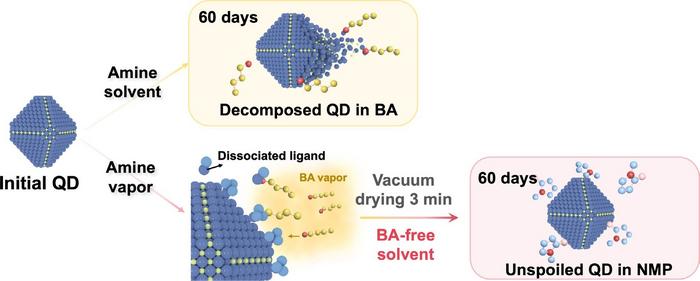 Vapor‑assisted pre-solvation breaks the stability limit of conventional amine-based PbS quantum dot inks