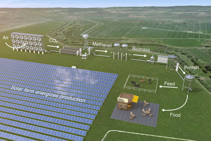 Solar-powered microbes to feed the world?