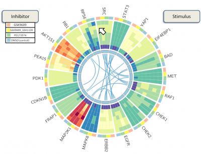 BioWheel (1 of 2)