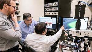 A Potential Path to Reversing Brain Changes in Alzheimer's