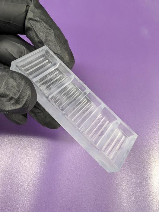 Novel Technique to Grow Gut Organoids