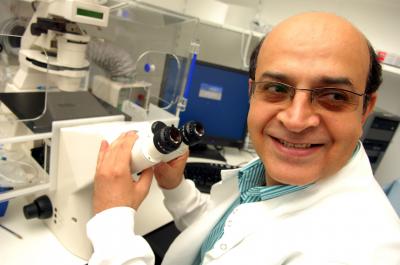 Professor Karim Nayernia, University of Newcastle