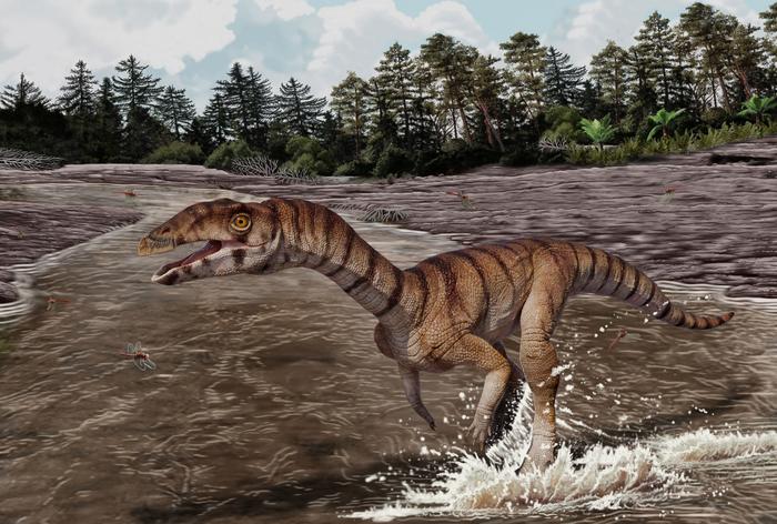 Reconstruction of Labrujasuchus expectatus