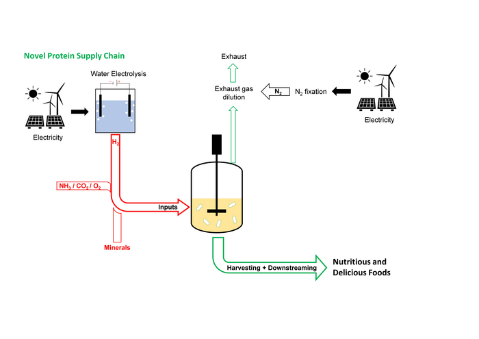 ‘Hydrogen foods'