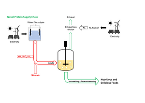 ‘Hydrogen foods'