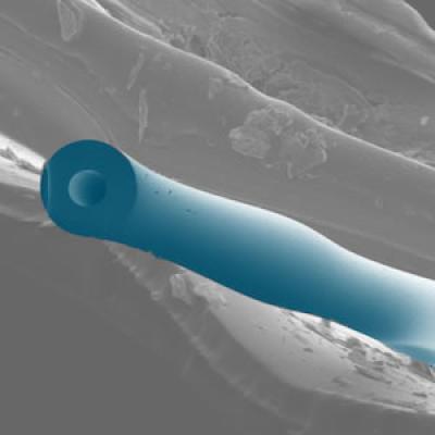Capillary Device