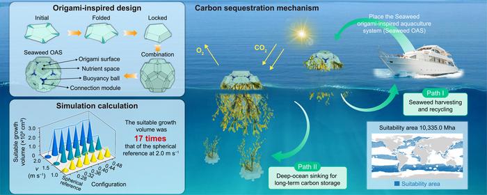 Origami-inspired Seaweed OAS for scalable open-ocean carbon sequestration.