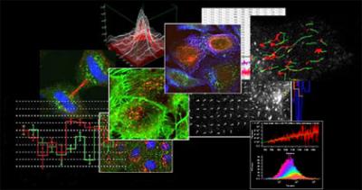Biomedical Image Search System
