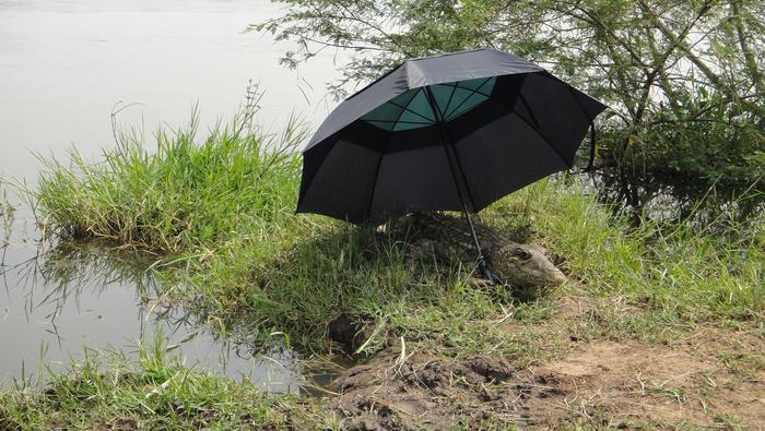 Krock robot in Uganda by the banks of the Nile River, avoiding overheating.