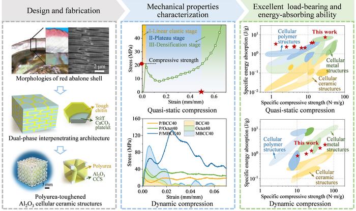 Design and mechanical properties of P/CCSs