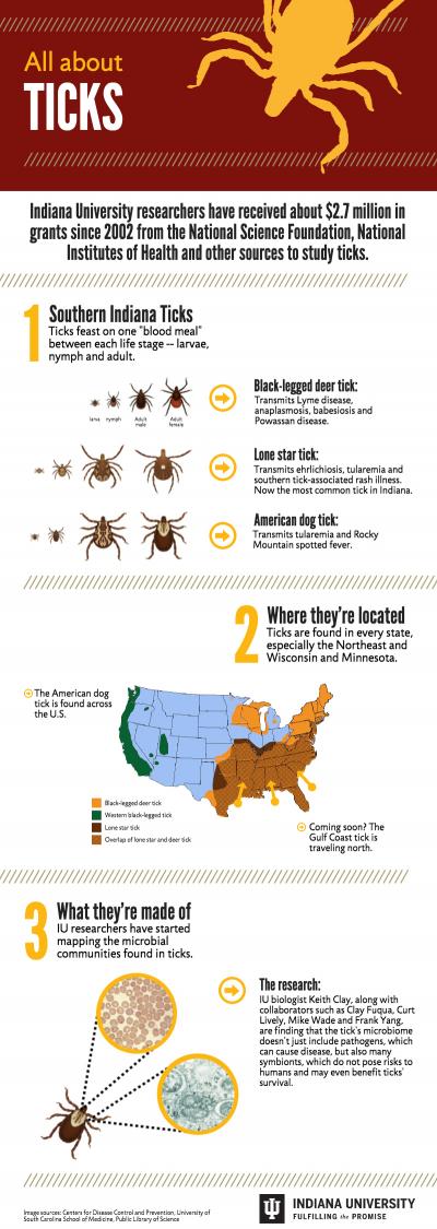Tick Infographic