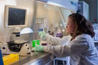 Placing Hydrogel Samples into Multiwall Plate for Testing