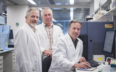 David Tarlinton, Dr. Stephen Nutt and Dr. Axel Kallies, Walter and Eliza Hall Institute