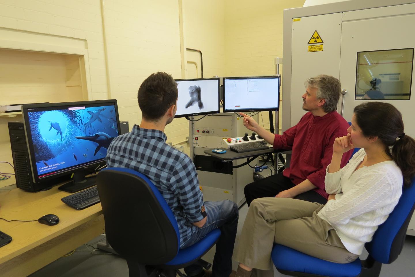 Ichthyosaur Skull -- Micro CT-Scanning