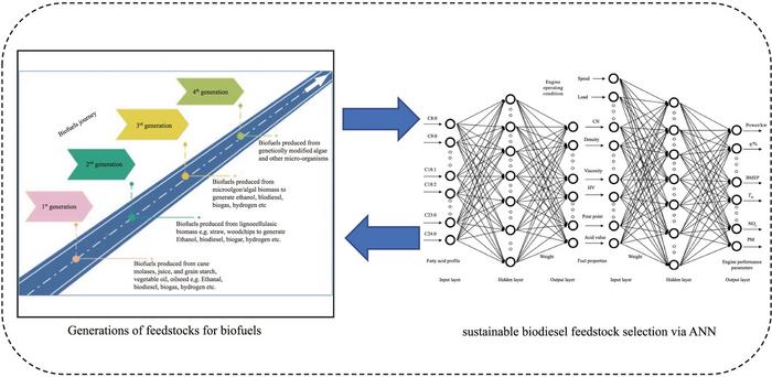 A comprehensive review on deep learning applications in advancing biodiesel feedstock selection and production processes