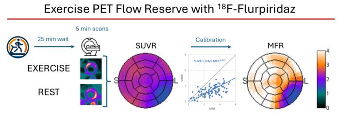 Exercise/rest measurements of the standardized uptake value ratio (SUVR) are used with an exponential calibration function to estimate myocardial flow reserve (MFR).