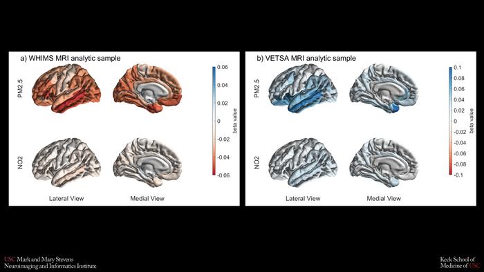 Brain maps
