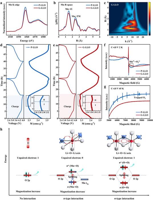 Gradient Cathodes Boost Stability of Li-Rich Batteries