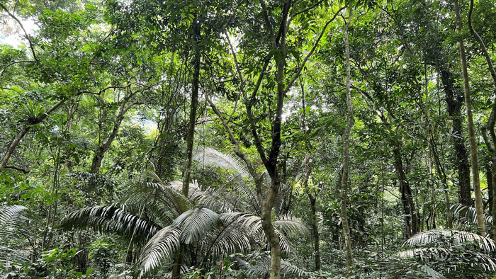 Quality, not just quantity, matters in COP15 “30 by 30” goal
