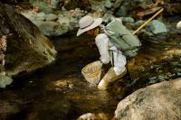 Sampling Juvenile Steelhead