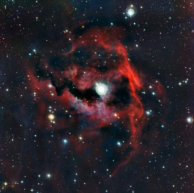 Close-Up View of the Head of the Seagull Nebula